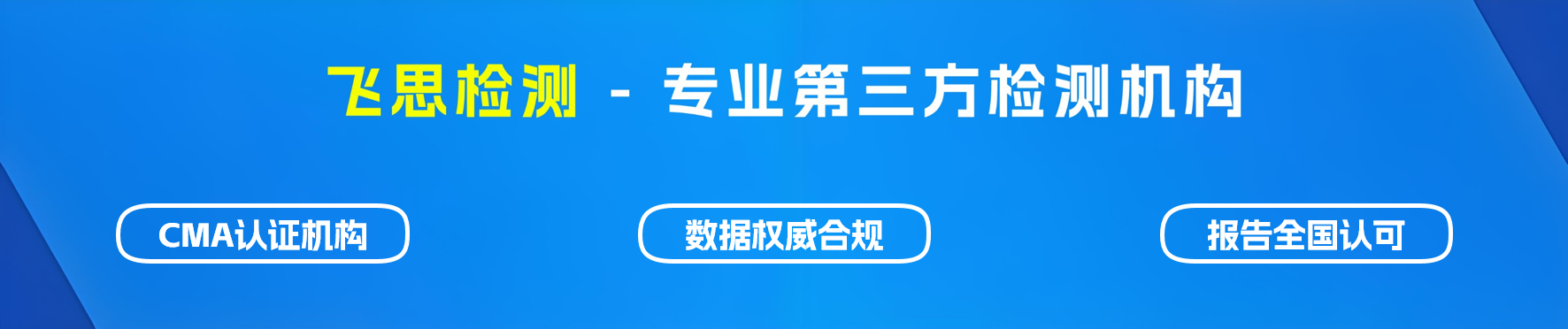 飞思检测.png